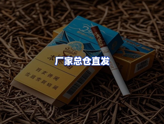 专业团队